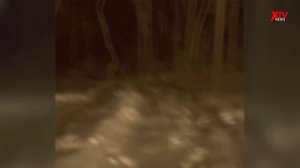 Появился снежный человек, заставивший весь город в недоумении