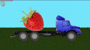 Учим ягоды с грузовичком. Развивающий мультик для маленьких