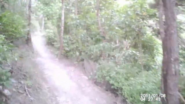 Jungle Scout & Jungle Gym смотреть онлайн