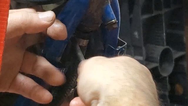 Rebuilding a 1993 Suzuki DR 250, Episode 7, will it start? смотреть онлайн