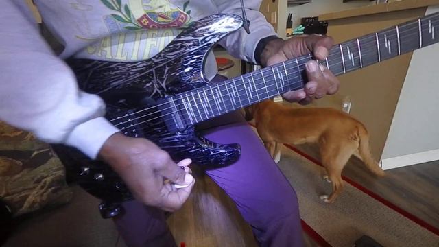 My Schecter Silver Mountain C-1 F/R/S смотреть онлайн