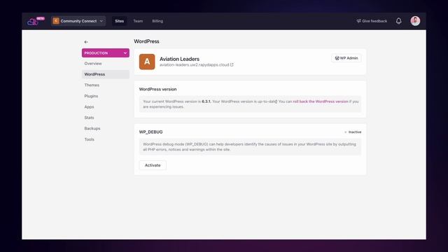 How To Control WordPress Versions and Debug with Rapyd Dashboard смотреть онлайн