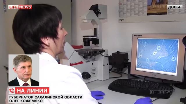 Губернатор объяснил, как возникли долги у рыбокомбината на Шикотане смотреть онлайн