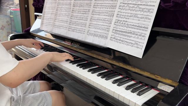 Соната для фортепиано и скрипки ля мажорK.305 - произведение австрийского композитора Моцарта. смотреть онлайн