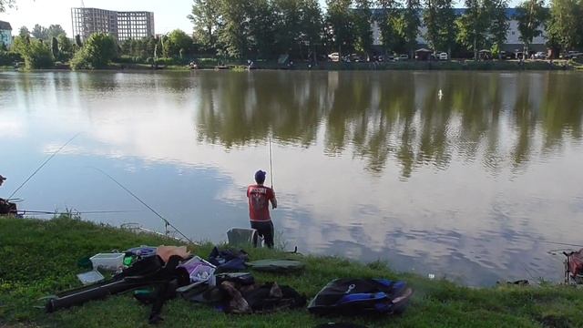 Турнир КРХ "Белая дача" по ловле рыбы. 18.06.2017 смотреть онлайн