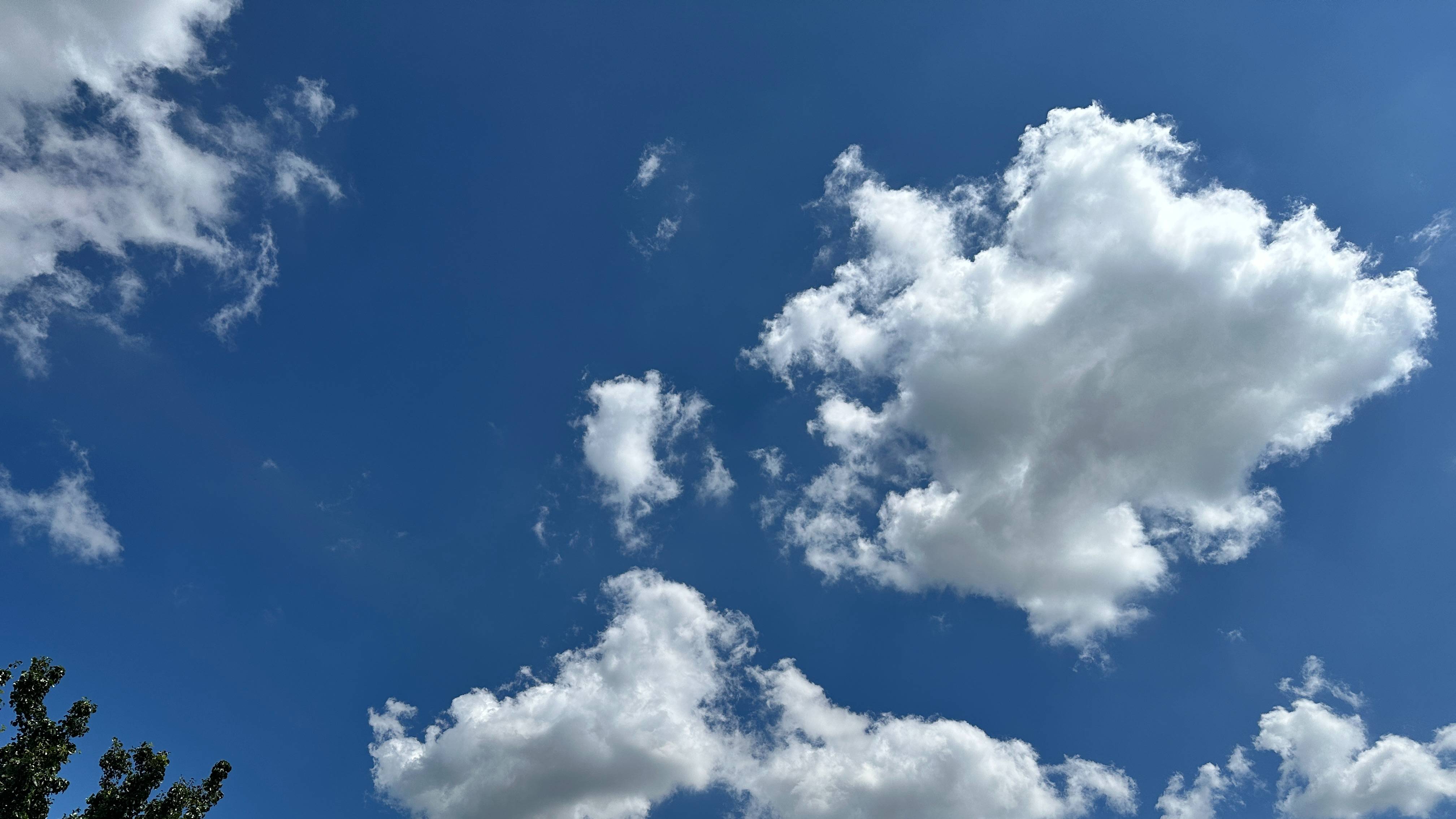 Небольшая, утренняя прогулка