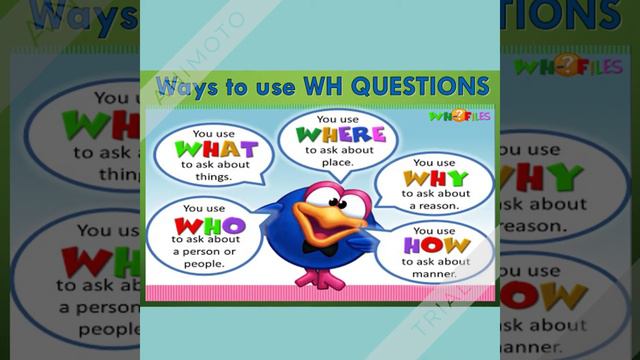 WH QUESTIONS смотреть онлайн
