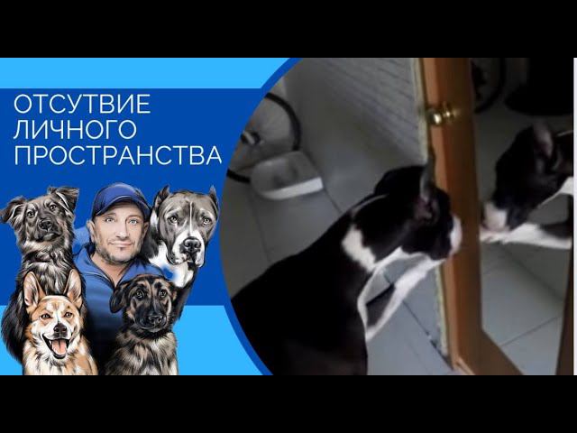 Возникновение проблем из-за отсутствия ЛИЧНОГО ПРОСТРАНСТВА смотреть онлайн