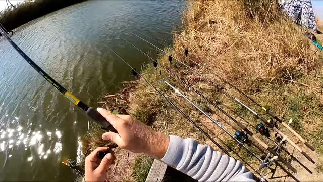 ПОПЛАВКИ В КОРЯЖНИКЕ КОШМАРЯТ КАРПА смотреть онлайн