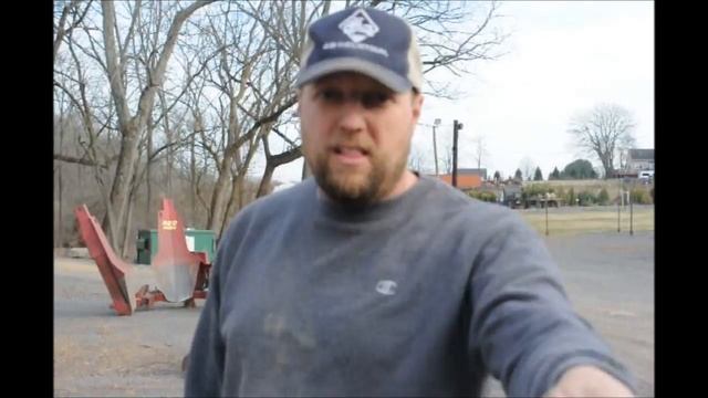 =   Star Magnolia Magnolia Stellata Is A Shrub Like Tree  We Grow At HH Farm