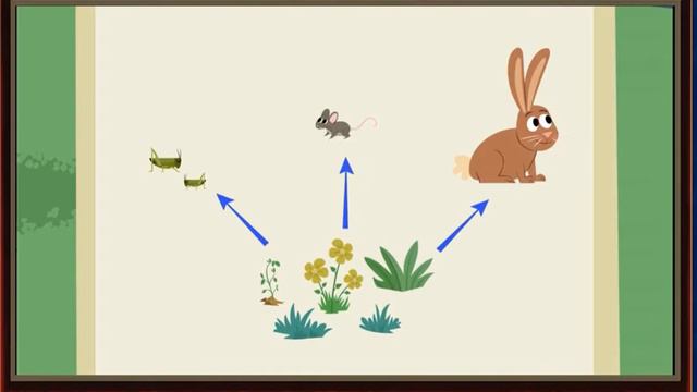 The Food Web. Professor Squirrel Lesson.
