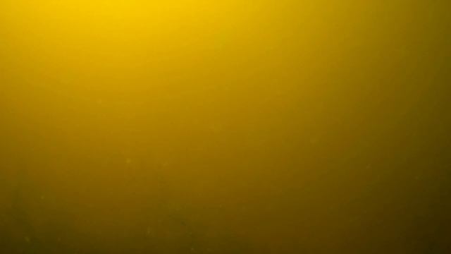 в том же месте, заглянуть под воду, есть и большая, смотреть онлайн