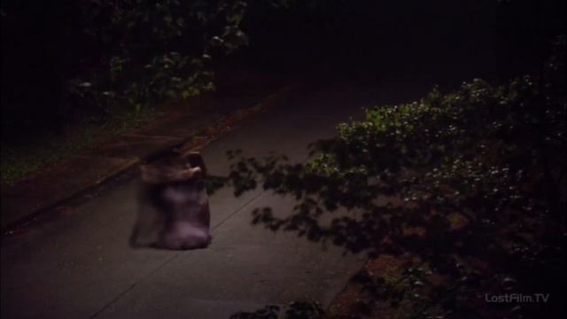 Елена и Дейман самый лучший момент для меня 🫀The most beautiful muzac for relaxation смотреть онлайн