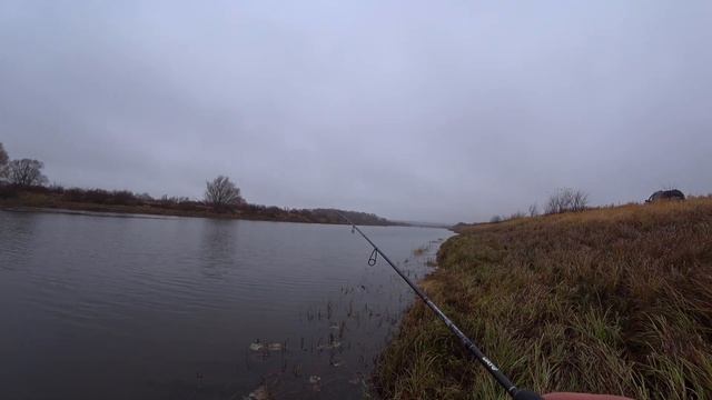 Она меня перехитрила! Рыбалка на щуку! Этот хлыст может! Обзор WALK FISH приманка! Микроджиг! смотреть онлайн