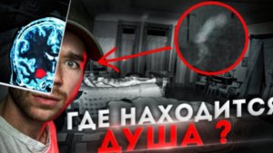 Создали человека без ДУШИ_ РазМИШления