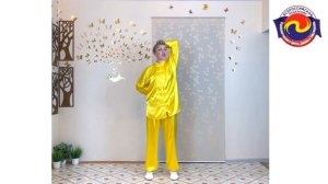 Мастер - класс по комплексу «И Цзинь Цзин»