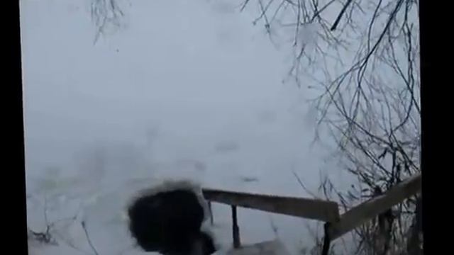 Водные процедуры