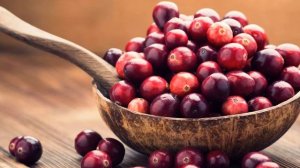 Польза брусники - это нужно знать