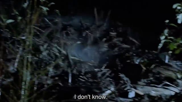 Gaint Monster Latest English Movie || Adventure Full HD In English Movie смотреть онлайн