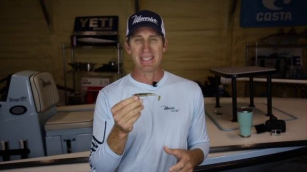 My favorite Lure to sight-fish redfish... the Saltwater Assassin Elite Shiner