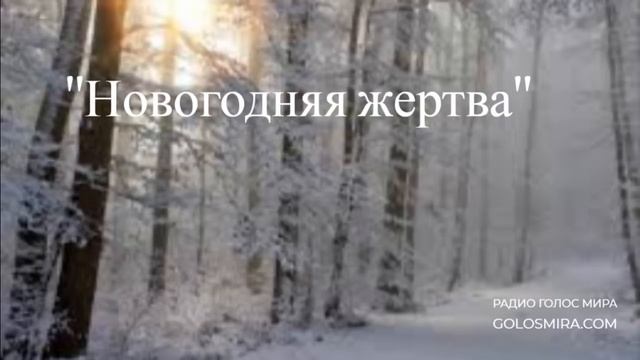 ''Новогодняя жертва'' - христианская повесть- читает Светлана Гончарова смотреть онлайн