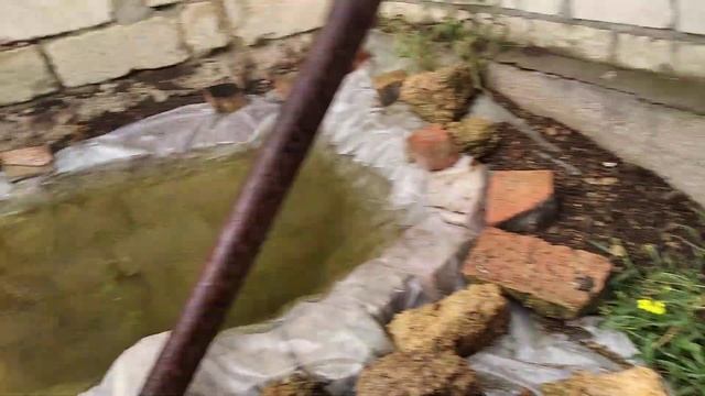 Мой пруд во время дождя