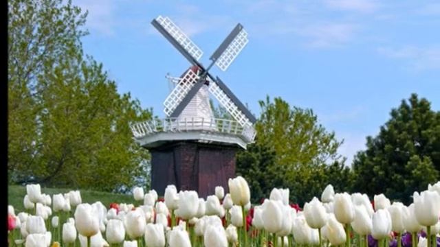 Возрождение.... musik Dhanvantary смотреть онлайн