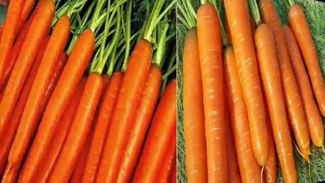 КАК ЗАЩИТИТЬ МОРКОВЬ ОТ БОЛЕЗНЕЙ смотреть онлайн