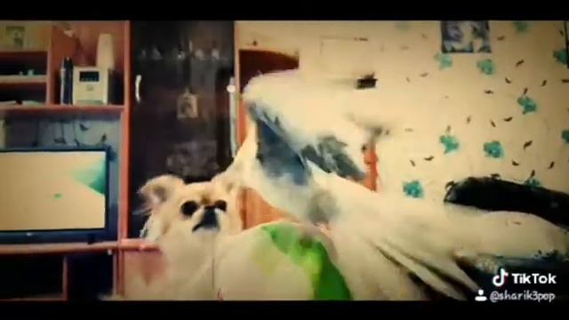 много хочет,мало получит смотреть онлайн