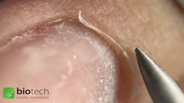 РАСКРЫТИЕ КУТИКУЛЫ ПЛАМЕНЕМ И КАПЛЕЙ смотреть онлайн