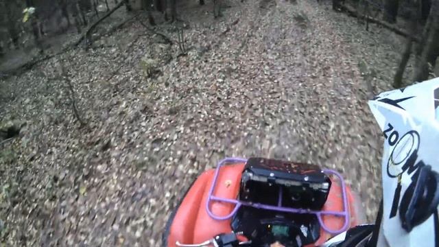 покатушка на квадроцикле, выезд в одного