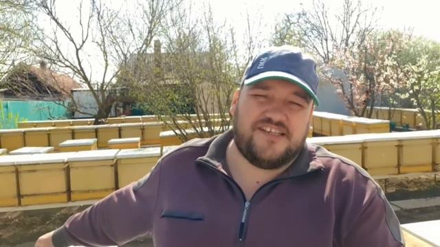 Перекись водорода пчёлам в поилку смотреть онлайн