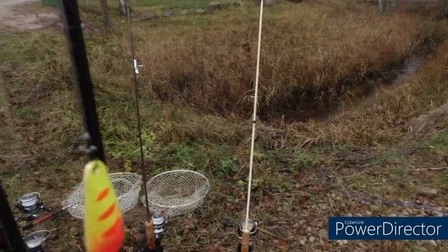 ATLAS 2021 Area Trout Fishing European Cup. 1ый и 2ой день. Финал смотреть онлайн