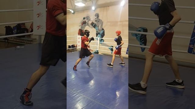 Спарринг. Нокдаун. 12.01.23 Зал Бокса ЗМС ЗТ СССР Щербакова В.С. Мирзоев И - Уваров З. смотреть онлайн