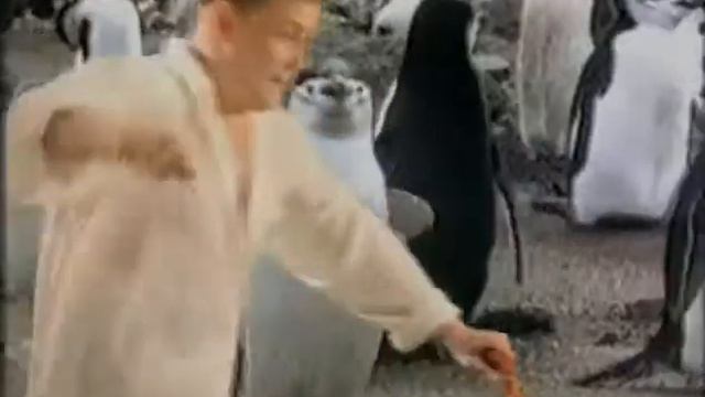 Дюна Караганда смотреть онлайн