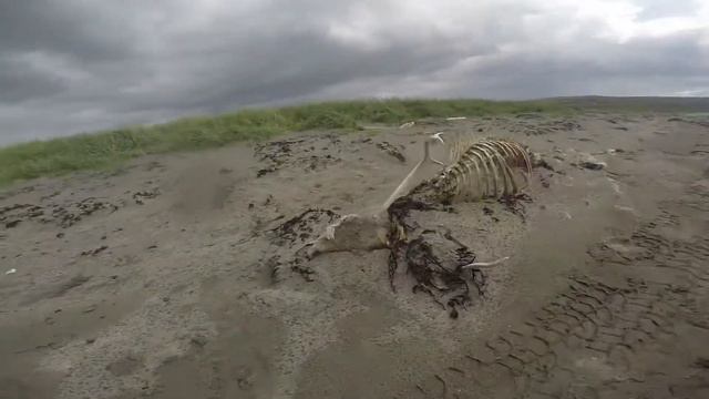 Путешествие на полуостров Рыбачий смотреть онлайн