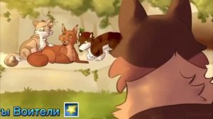 |||Коты Воители||| Факты о Ежевике (Ежевичной звезде).Описание,История,Факты о персонаже.