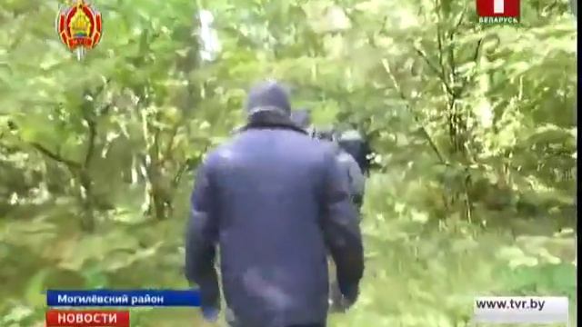 Спасатели и милиция не могут найти около десяти заблудившихся грибников смотреть онлайн