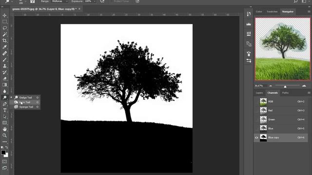 Adobe Photoshop  ลบภาพพื้นหลัง // Cut Background  ง่ายนิดเดียว