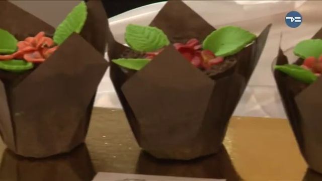 WEDDING ZAVOD - ИЗБАВИТ ОТ СВАДЕБНЫХ ХЛОПОТ! смотреть онлайн