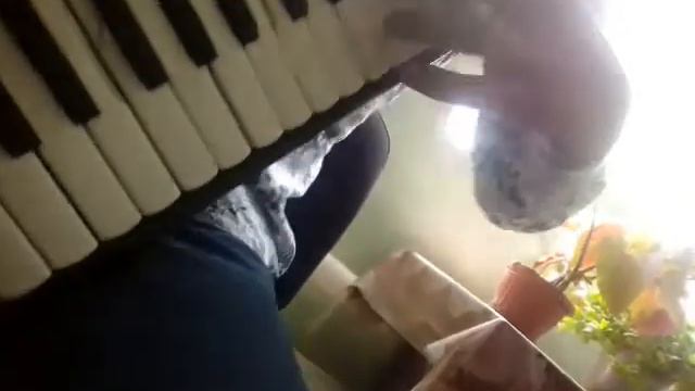 Суйу балы смотреть онлайн