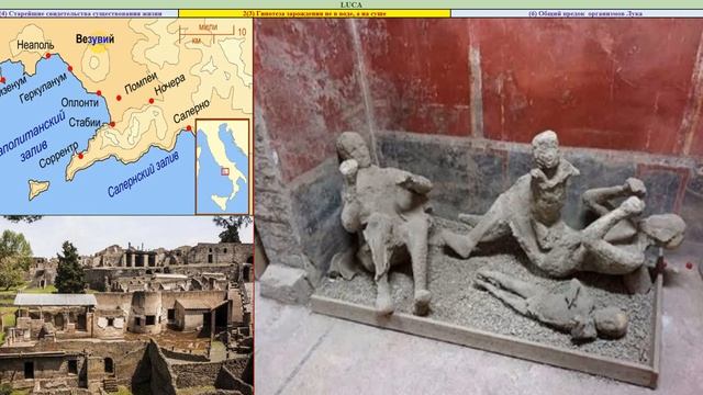 17 Лука(прародитель жизни) смотреть онлайн