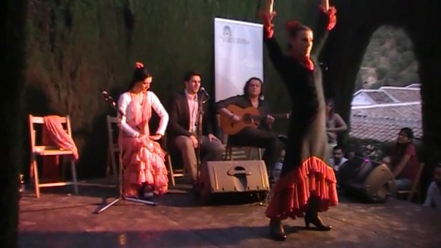 Noches Flamencas 2013 A.V. Bajo Albayzín 14 junio D смотреть онлайн