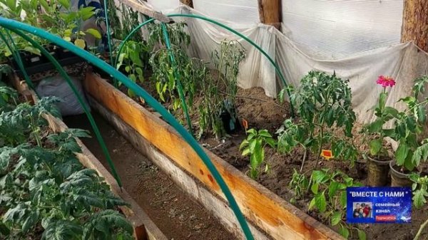 Отзыв после года года использования WONDER LAB.