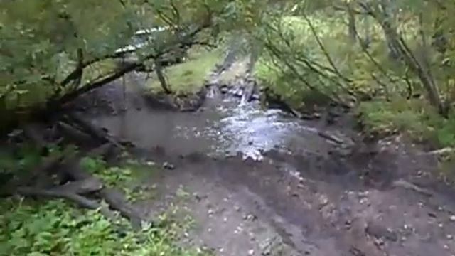 ДРП собакина речка смотреть онлайн