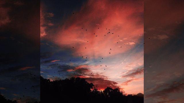 Дорогой мой бог смотреть онлайн