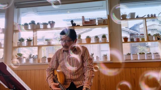 マンドリンライブですか マンドリン mandolin смотреть онлайн