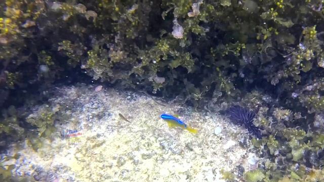 Штормит...но даже в этом своя прелесть...если не сильно:))