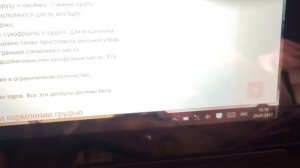 Chuwi не заряжается на win 10