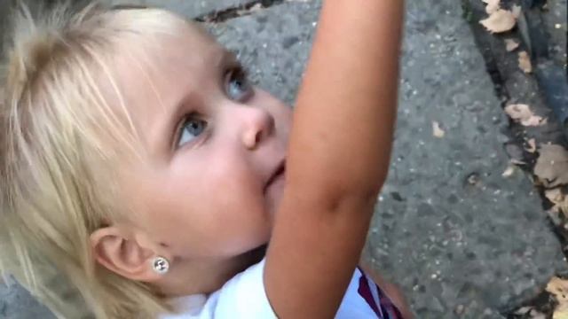 ЗООПАРК, гуляем в мире животных-бегемоты,медведи,обезьяны,тигры,верблюды,енот,рысь,змеи,крокодил...